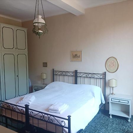 Nice Apartments In Downtown بولونيا المظهر الخارجي الصورة